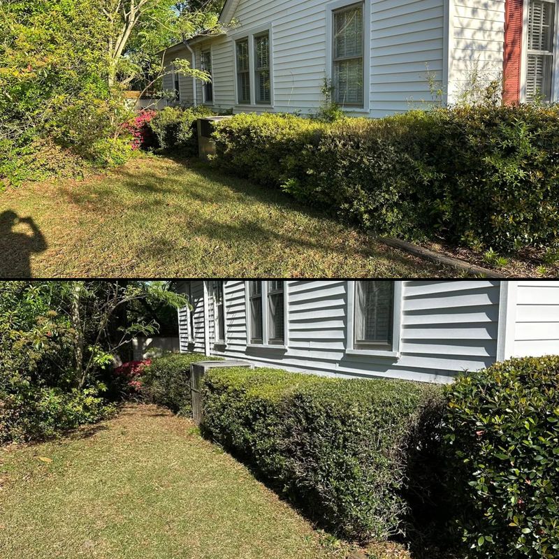 Shrub Trimming