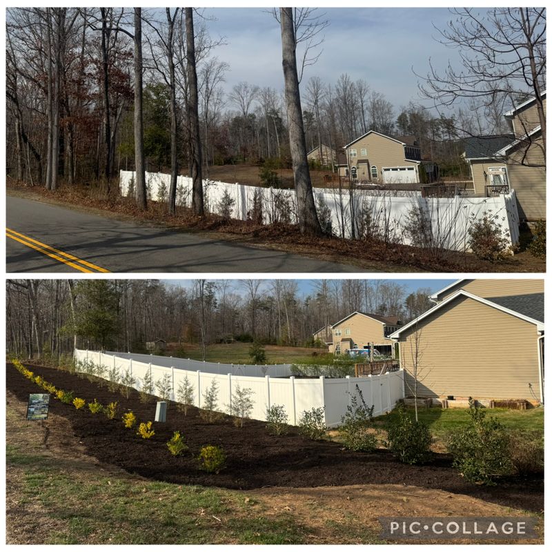 Landscape design