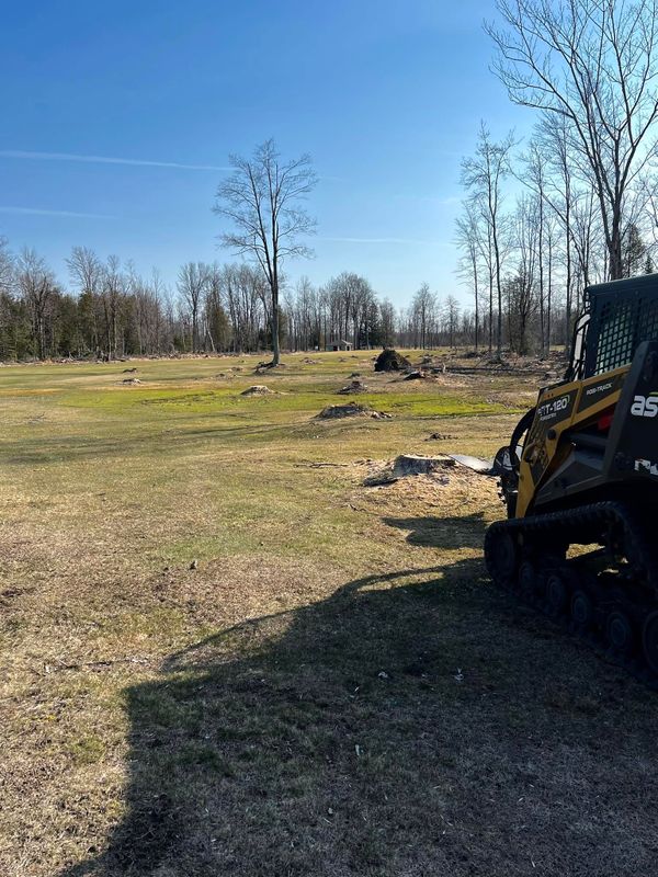 Land Clearing