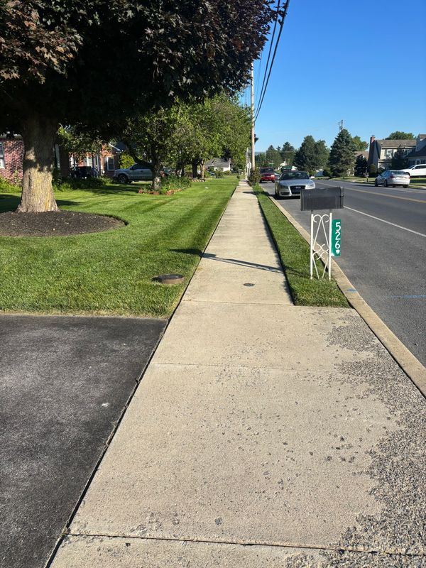 Lawn Mowing