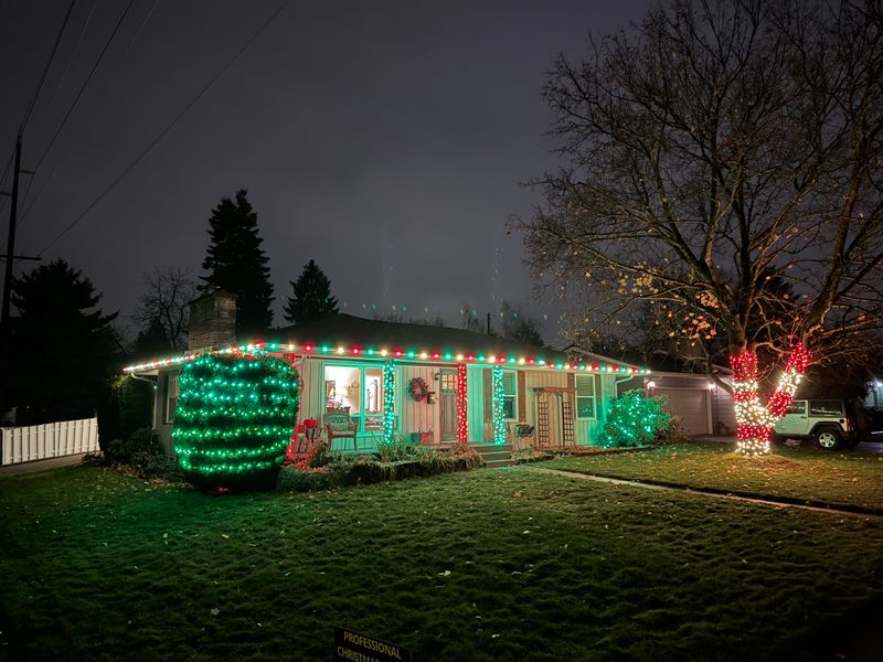 Christmas Lights gallery