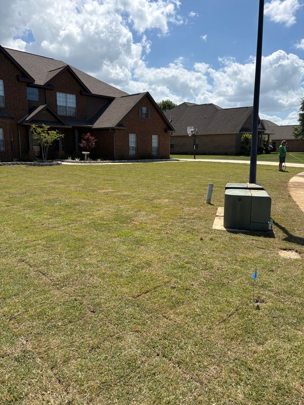 Sod installation!