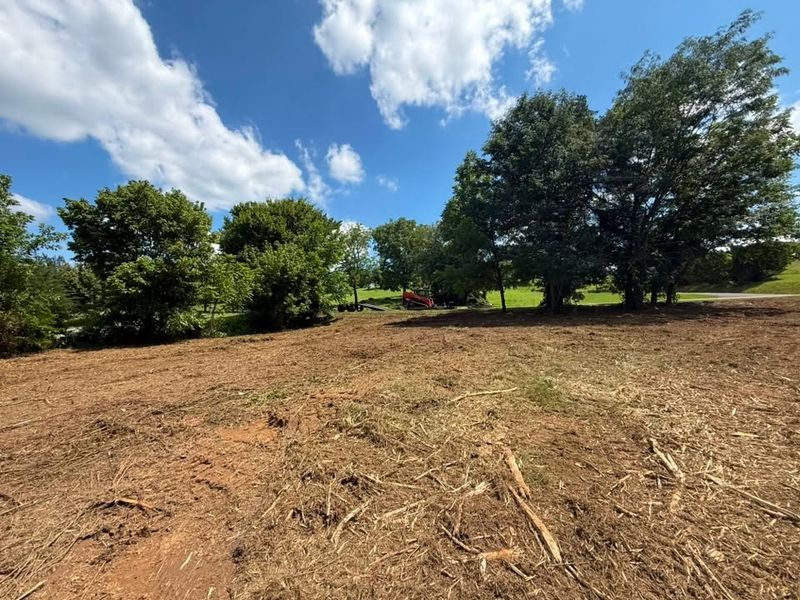 Land Clearing
