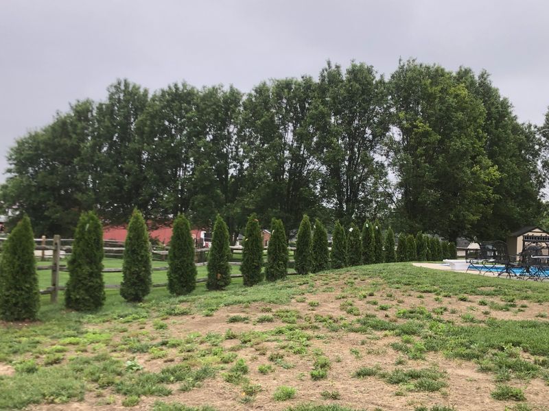 Landscaping
