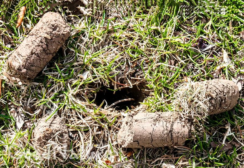 Aeration