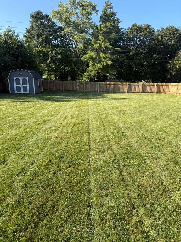 Lawn Mowing
