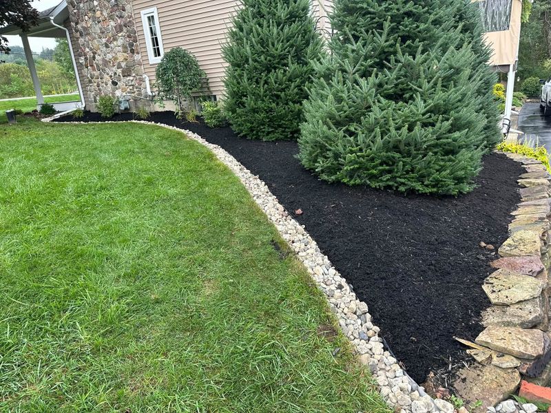 Shrub Trimming