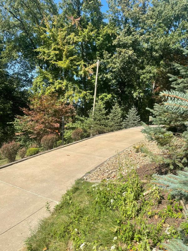 Pressure Washing