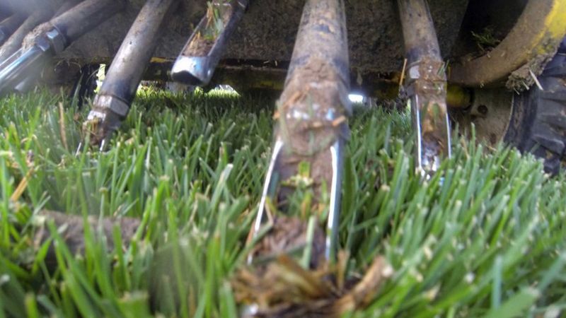 Turf Aeration