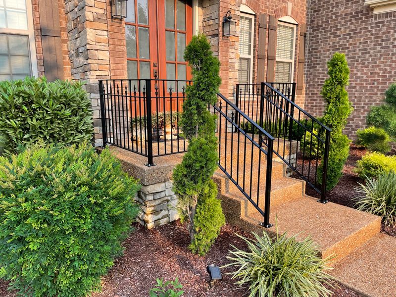 Ornamental iron railings