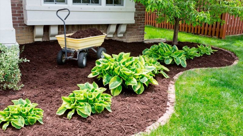 Mulch Installation