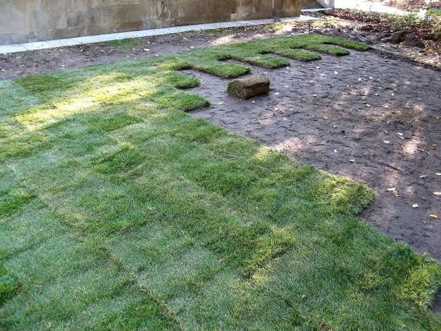 Sod Install