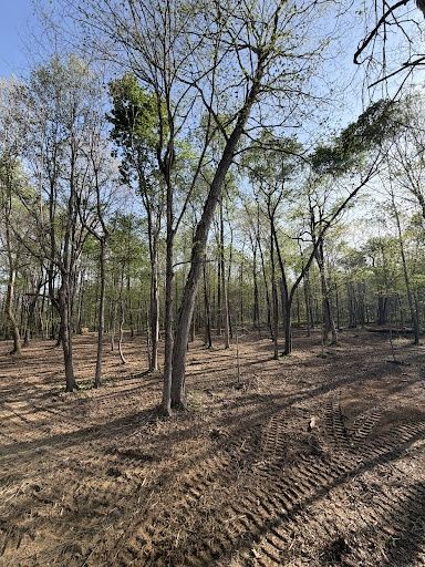 Land Clearing
