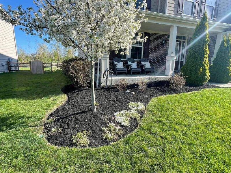 Landscape Design