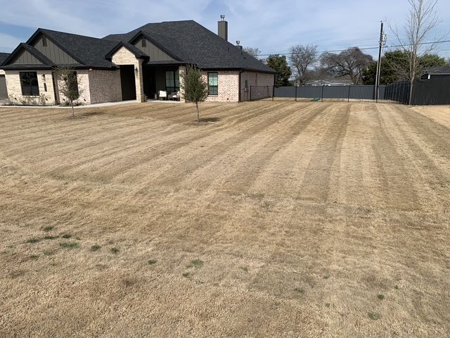 Lawn Maintenance