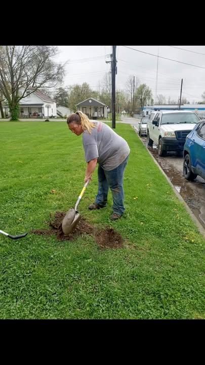 Landscaping