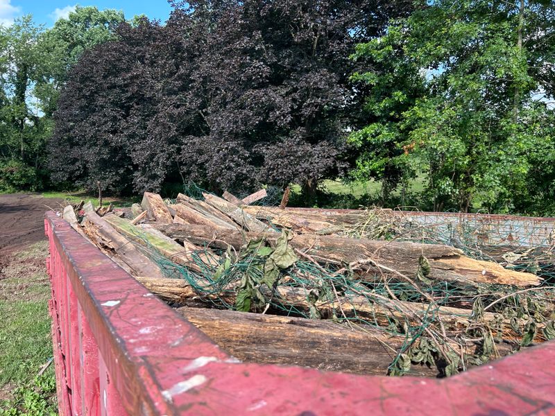 Land Clearing