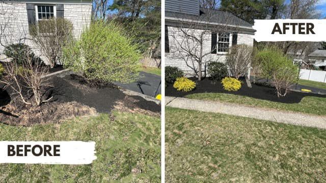 Landscaping