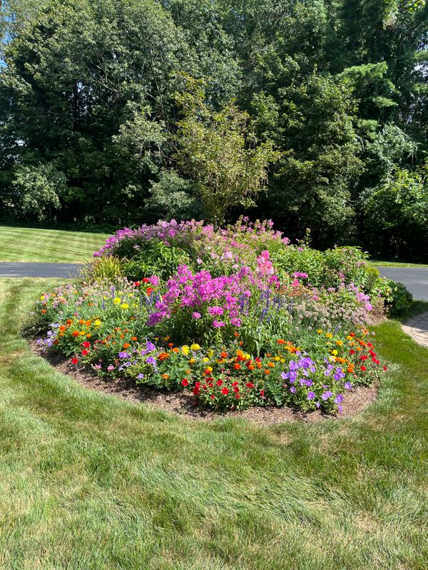 Commercial Landscaping