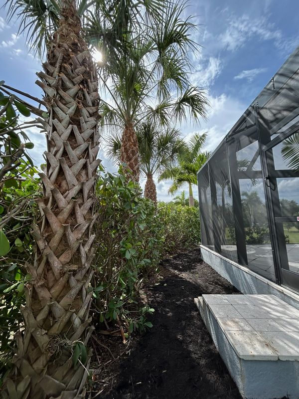 Landscape Design and Installation