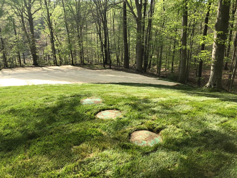 Eco-Friendly Installations