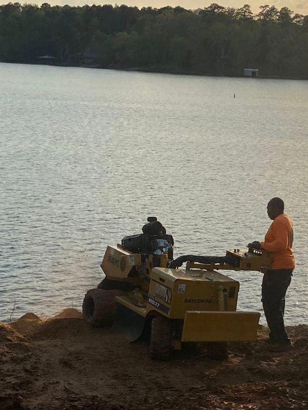 Stump Grinding and Removal