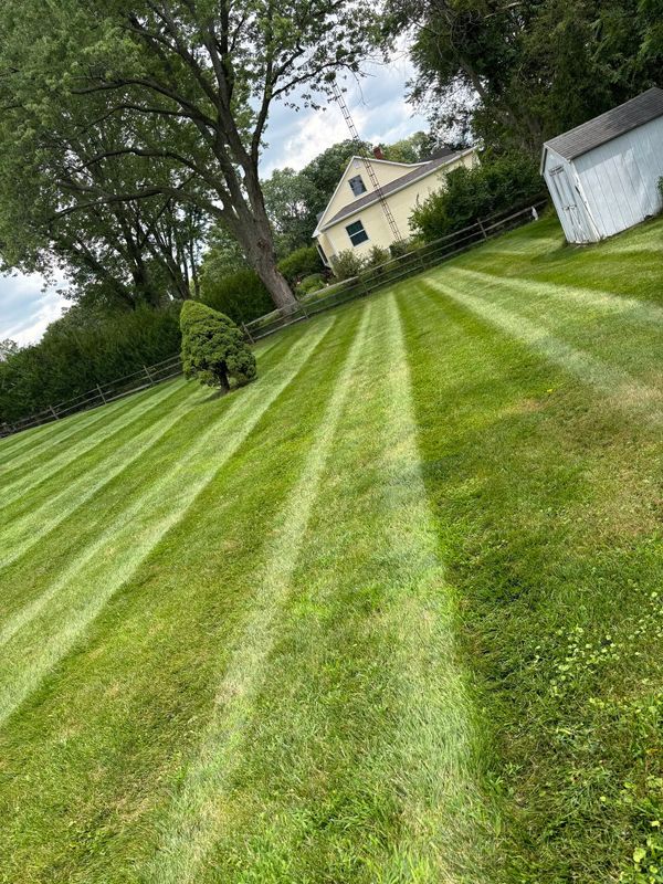 Trimming & Edging
