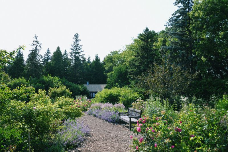 Landscape Design