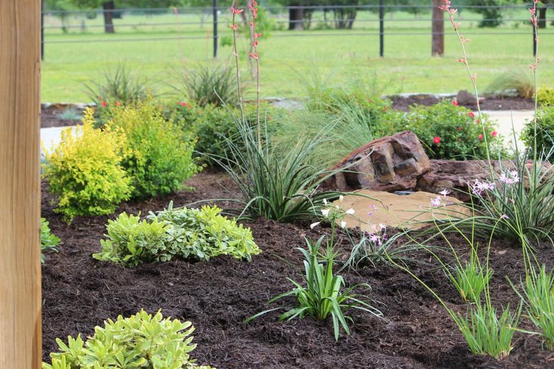 Landscape Design & Installation