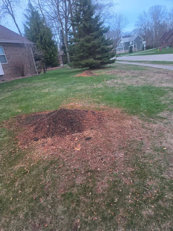 Tree Services