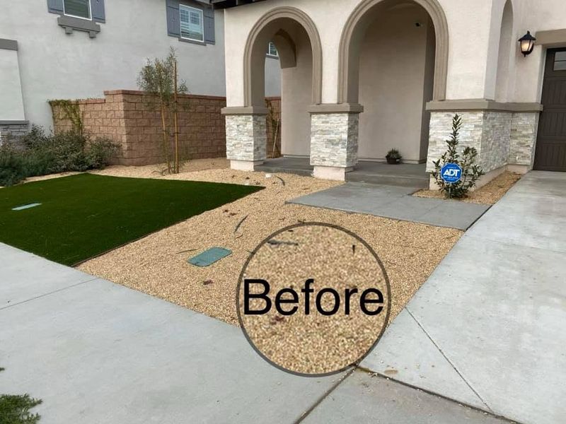 Landscape Design