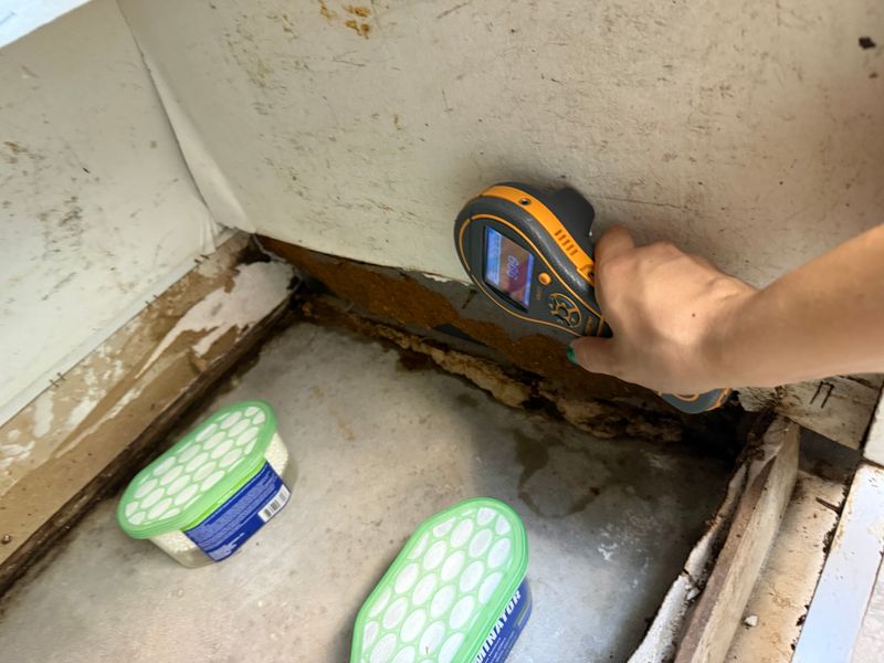 Mold Remediation