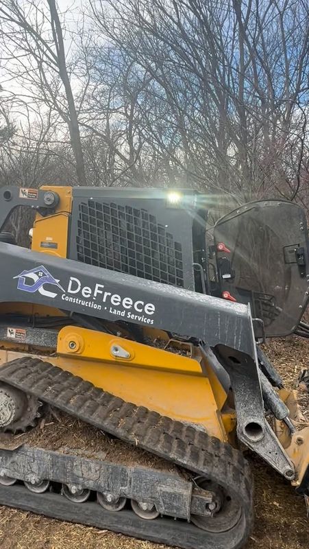 Tree Removal
