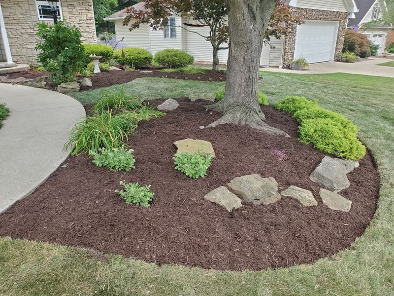 Tree & Shrub Care