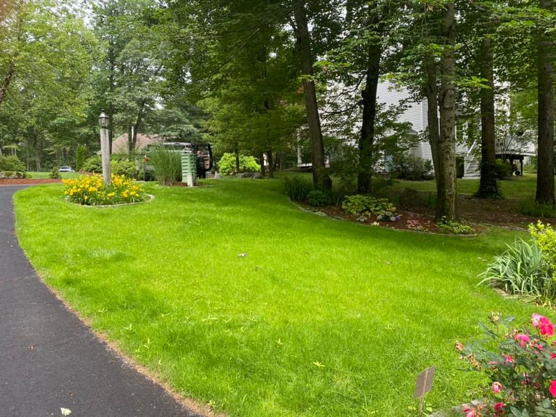 Landscaping