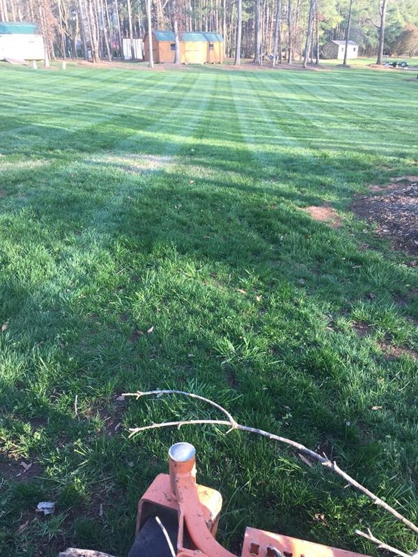 Lawn Maintenance