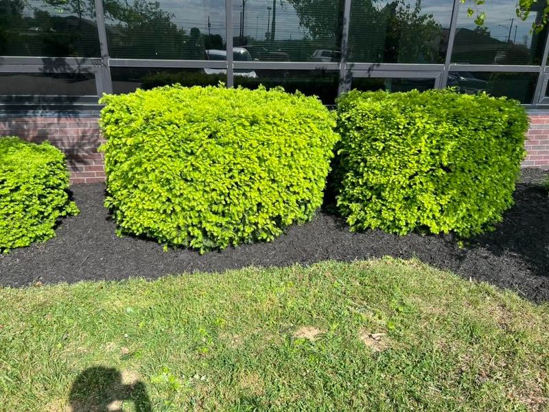 Landscaping & Fencing