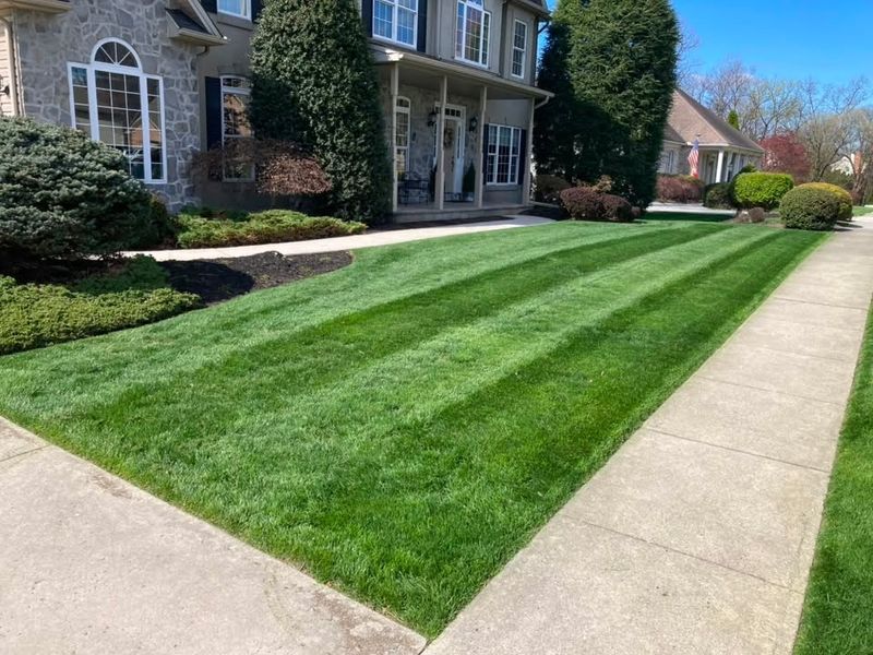 Lawn Maintenance