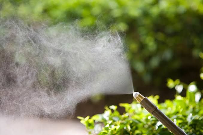 Mosquito Spraying
