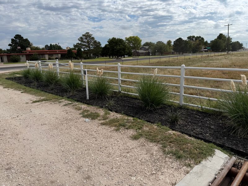 Flower Beds