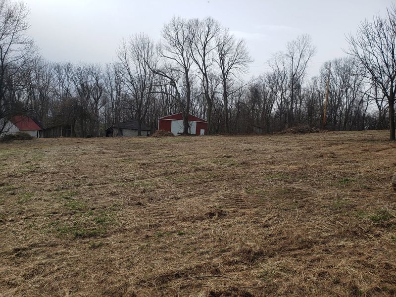 Land Clearing and Site Preparation