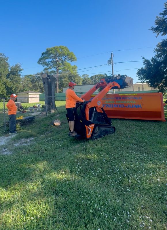 Tree Removal