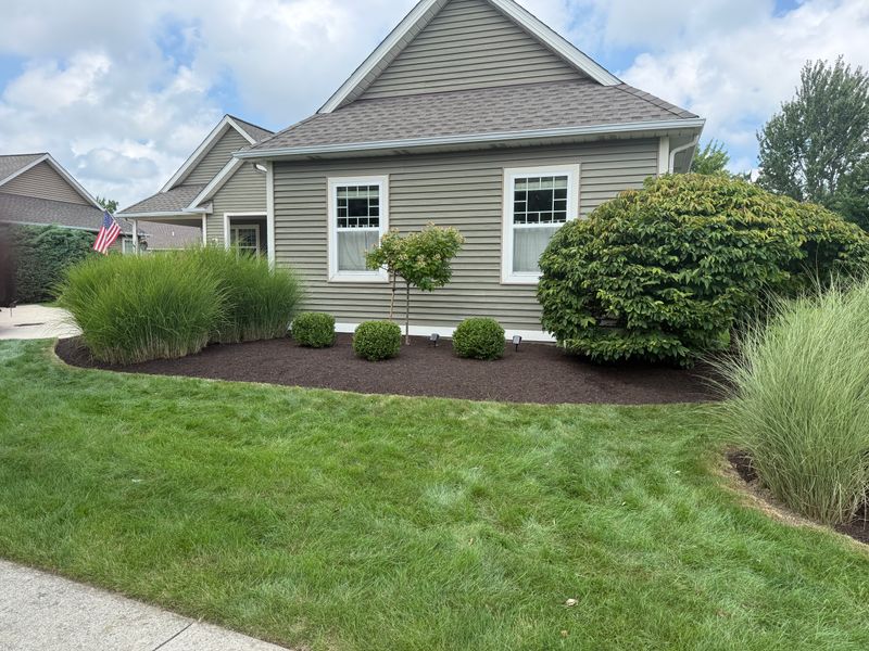 Shrub Trimming