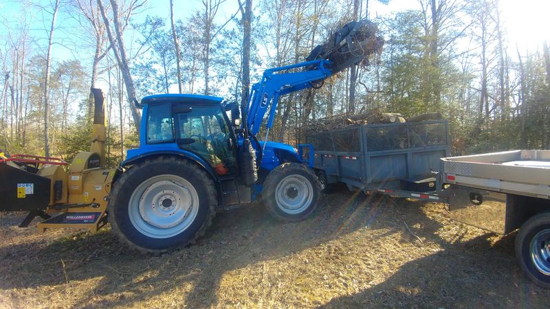 Tree Removal