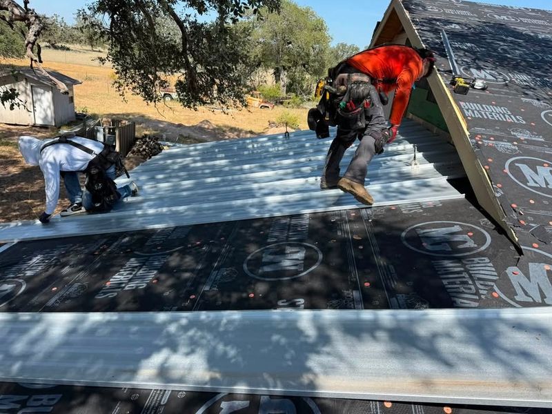 Metal Roofing