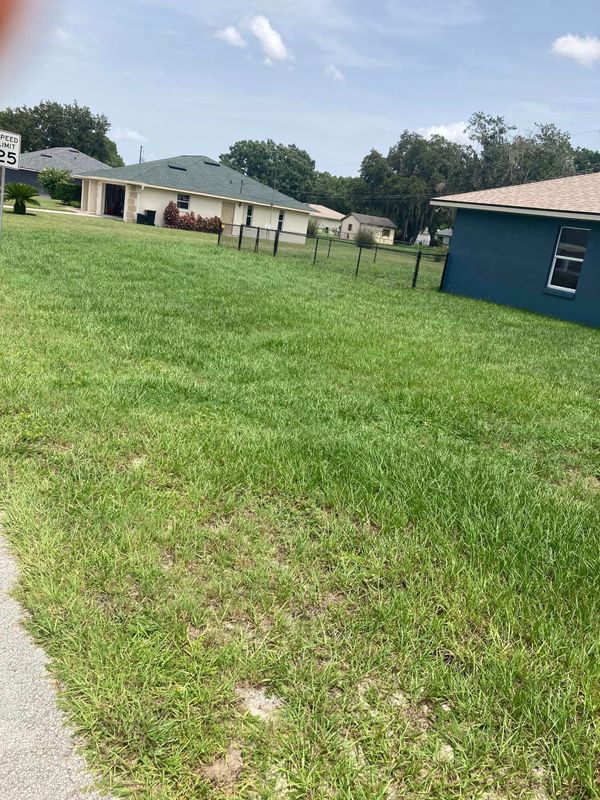 Lawn Care