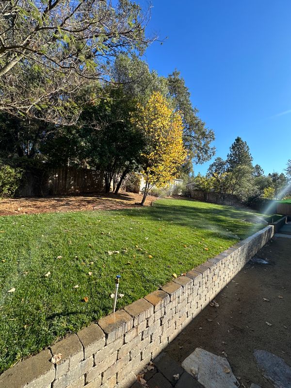 Landscaping