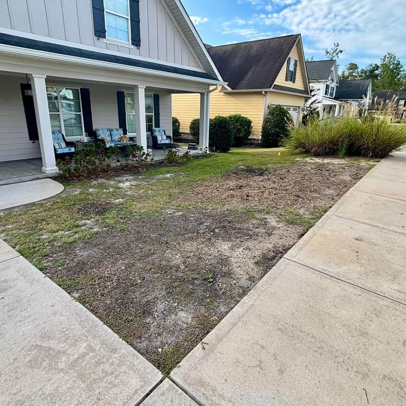 Property Cleanups