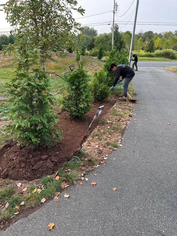 Tree & Perennial Planting