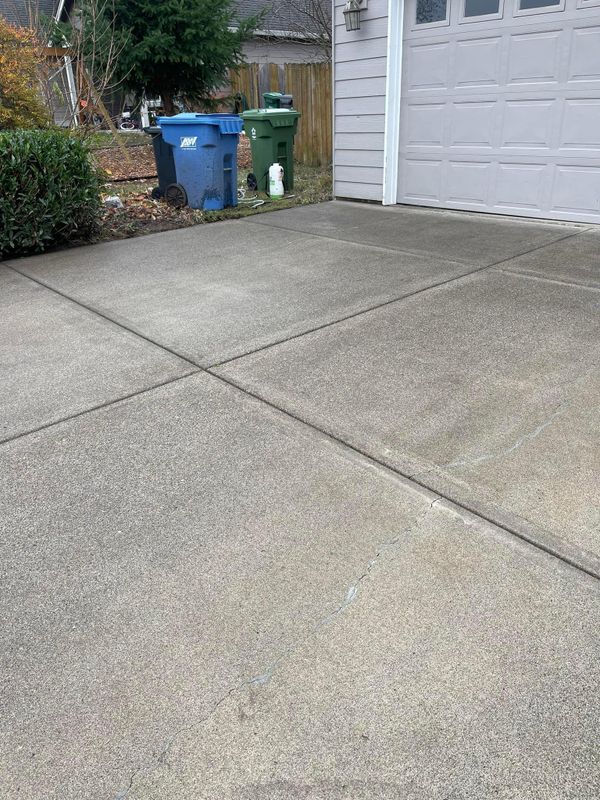 Driveway and Sidewalk Cleaning